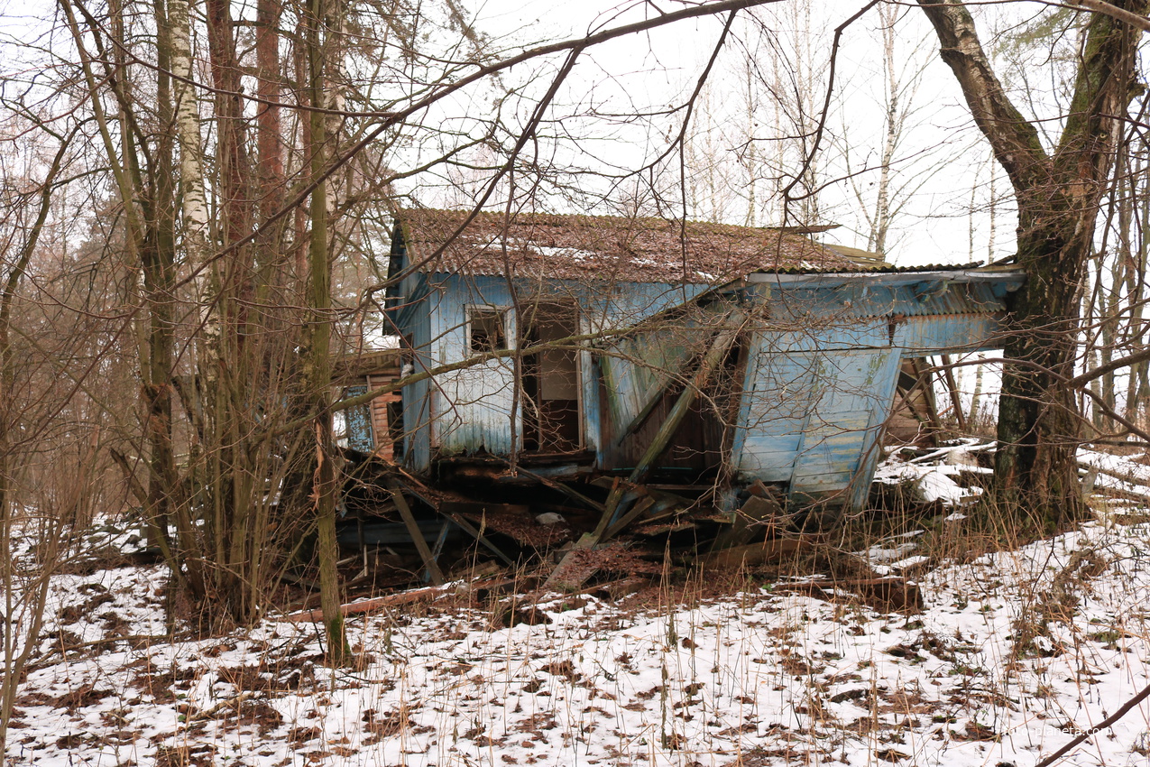 ДОЛ Ласточка