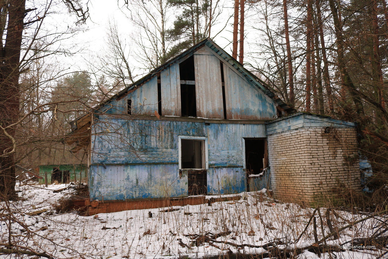 ДОЛ Ласточка