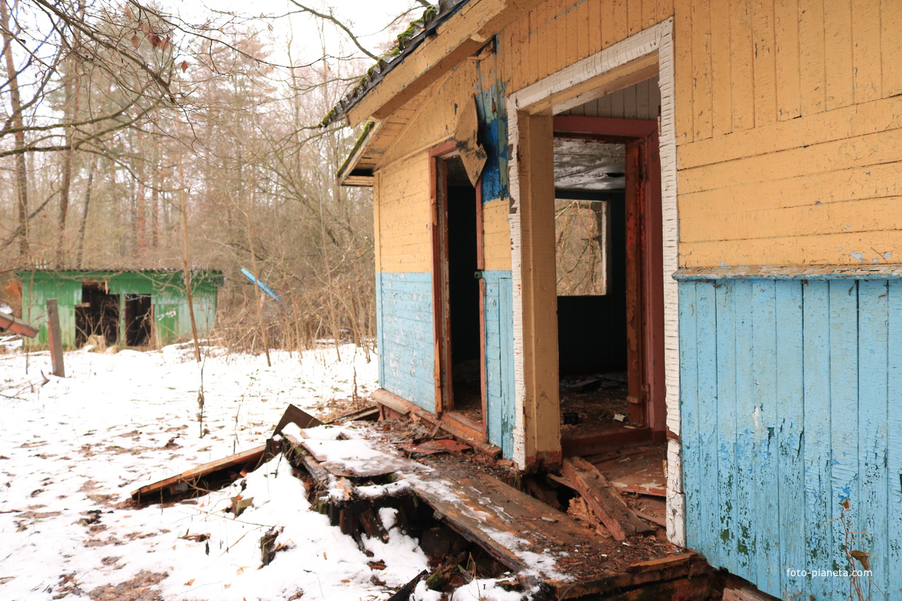 ДОЛ Ласточка