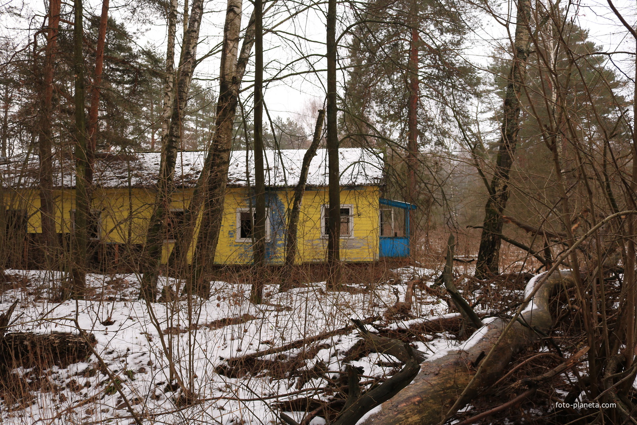 Детский оздоровительный лагерь Ласточка