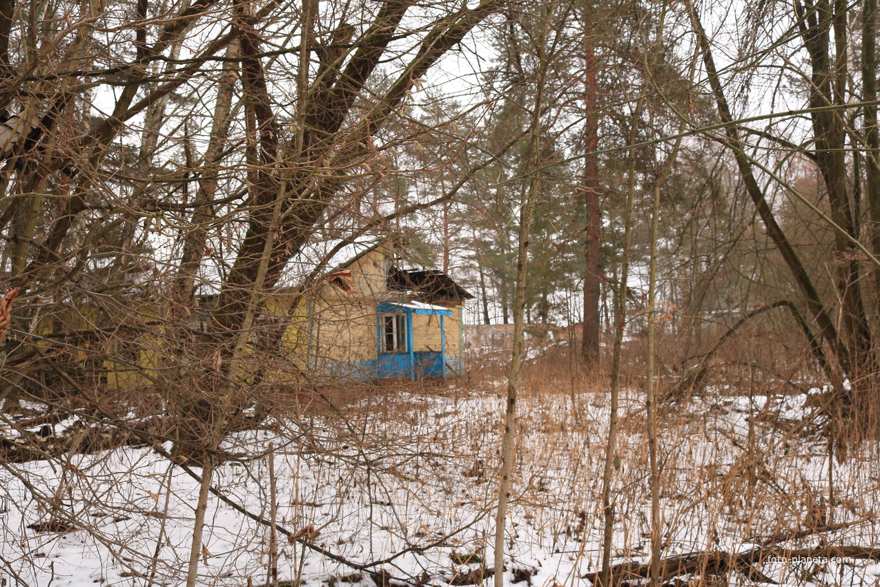 Детский оздоровительный лагерь Ласточка