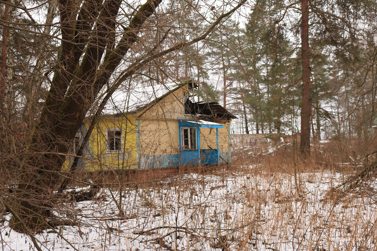 Детский оздоровительный лагерь Ласточка