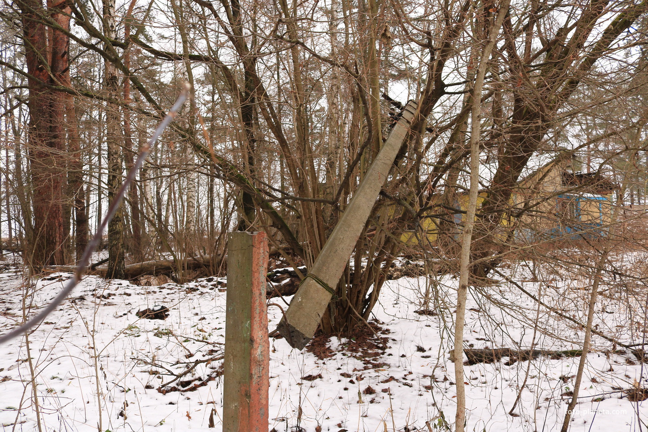 Детский оздоровительный лагерь Ласточка