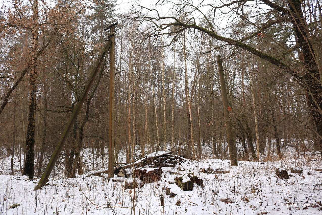 Детский оздоровительный лагерь Ласточка Октябрьского трамвайного депо
