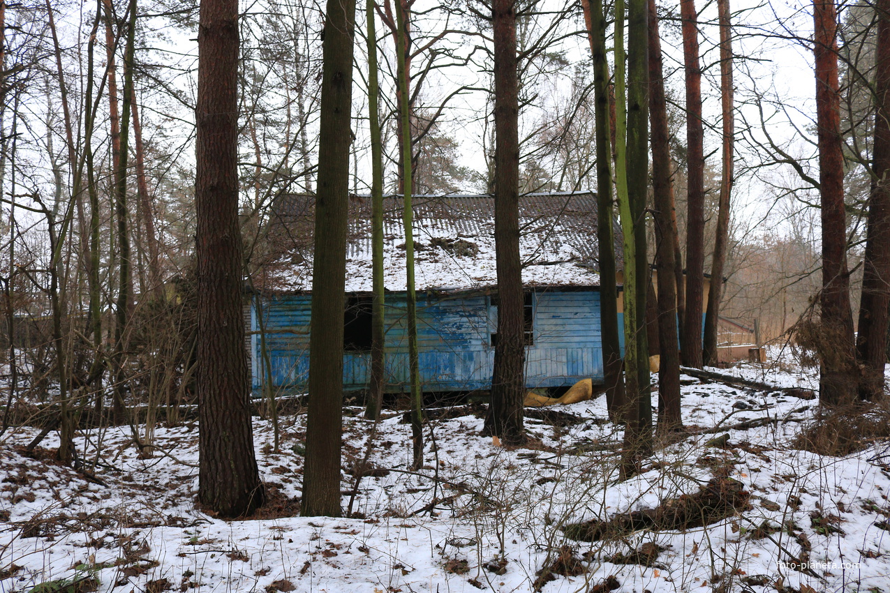 Детский оздоровительный лагерь Ласточка Октябрьского трамвайного депо