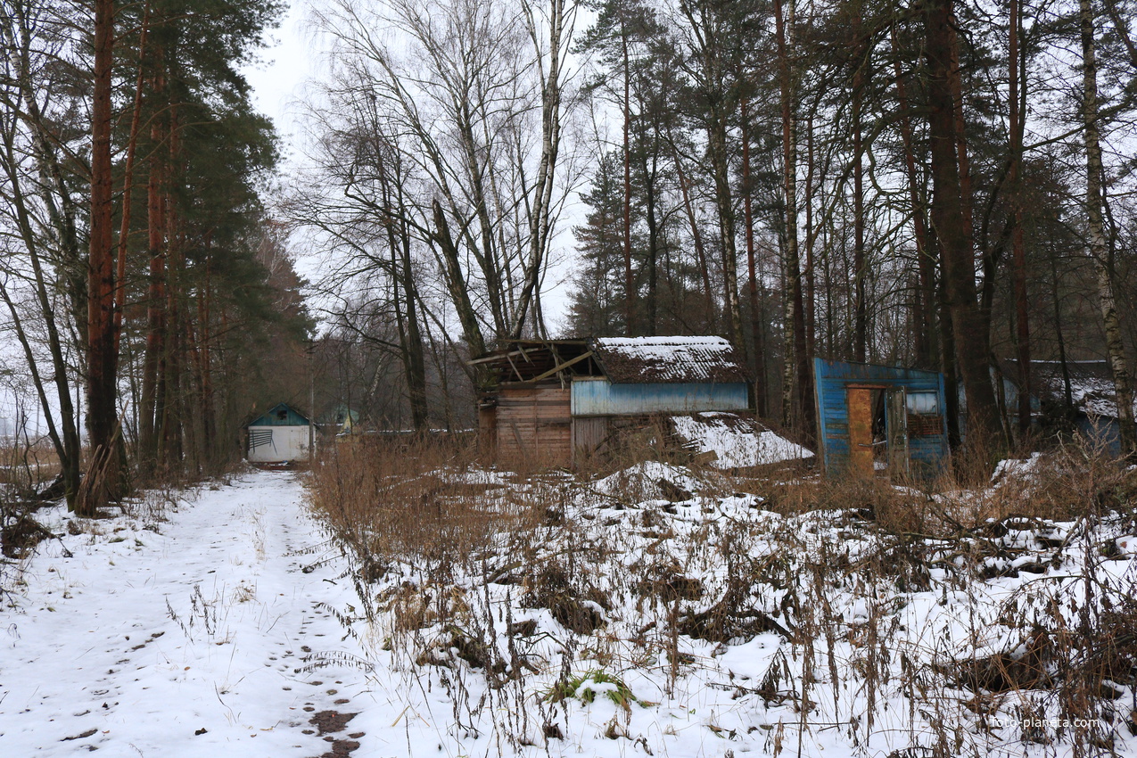 Детский оздоровительный лагерь Ласточка Октябрьского трамвайного депо