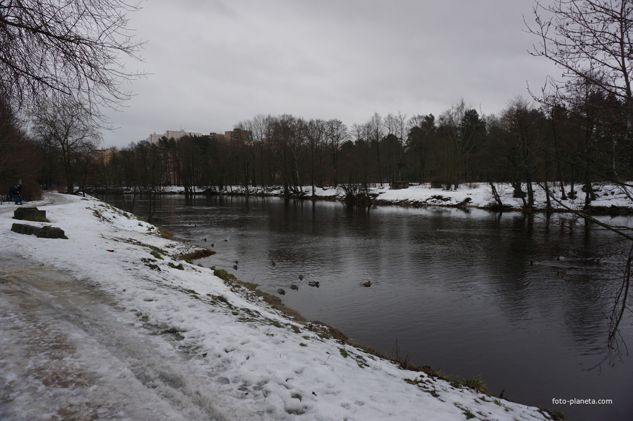 Сестрорецк