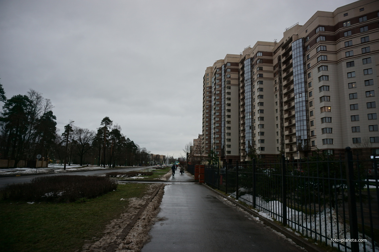 Сестрорецк