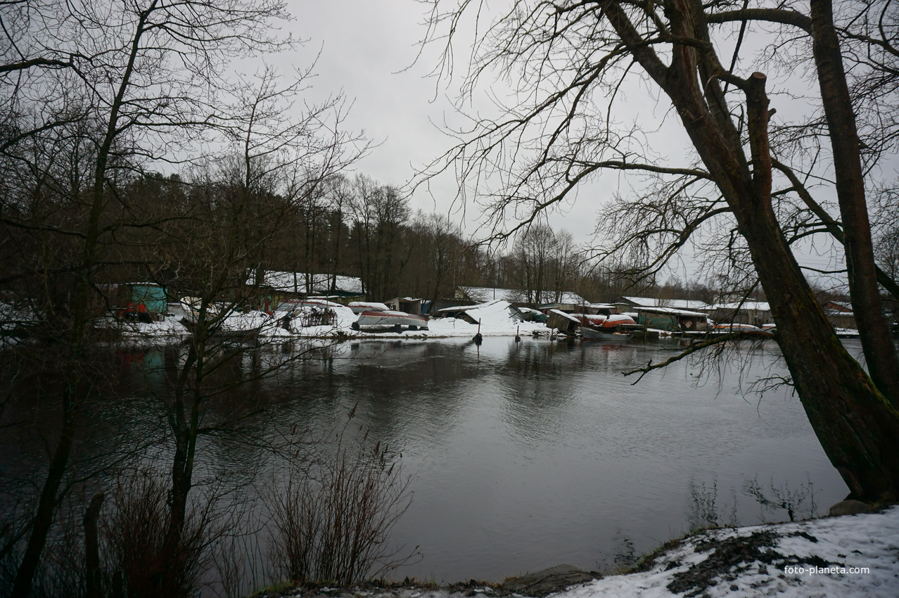 Сестрорецк