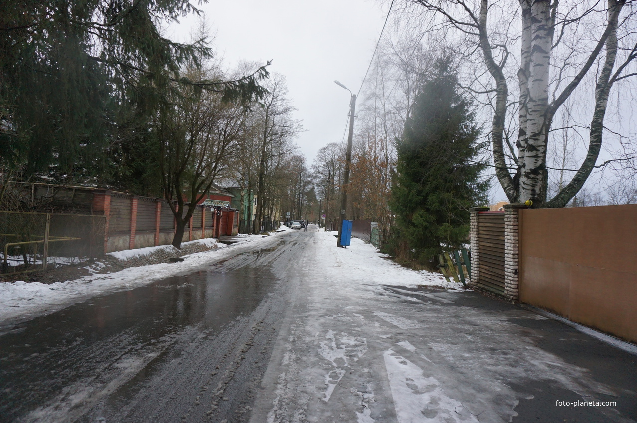 Сестрорецк