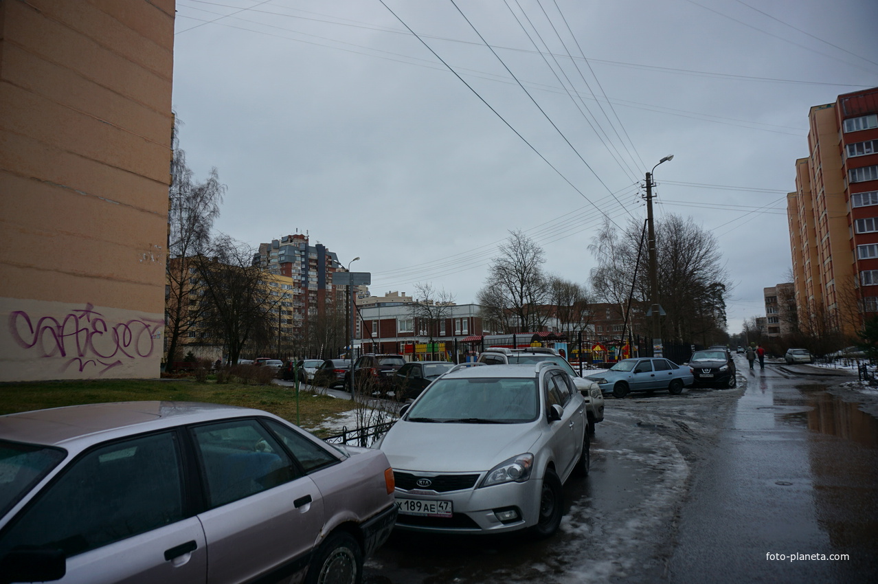 Сестрорецк