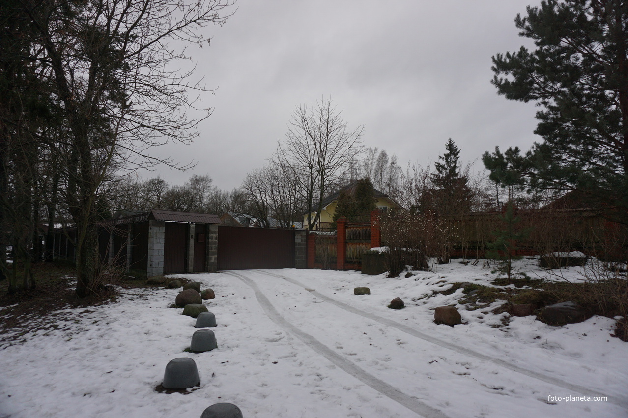 Сестрорецк