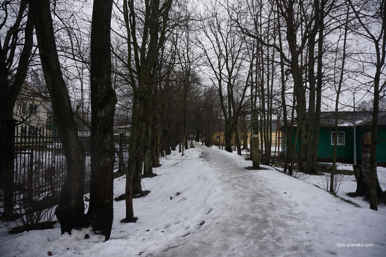 Сестрорецк