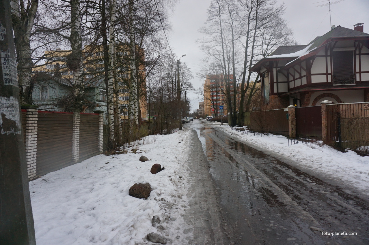 Сестрорецк