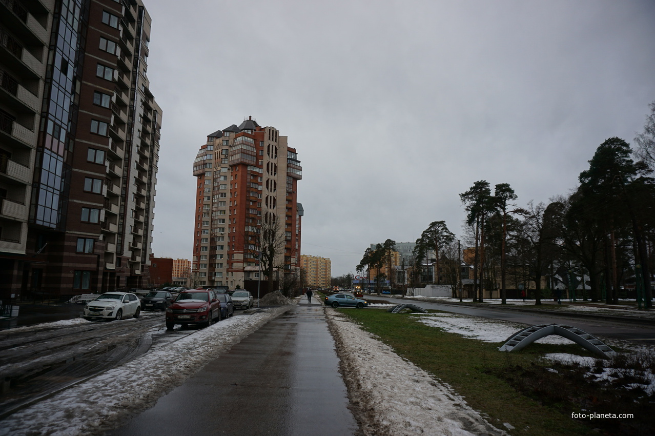 Сестрорецк