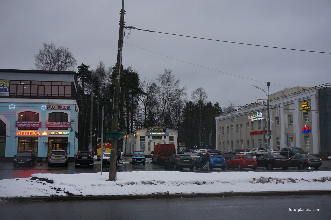 Сестрорецк