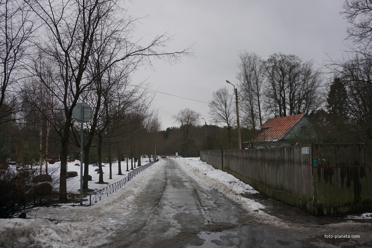 Сестрорецк