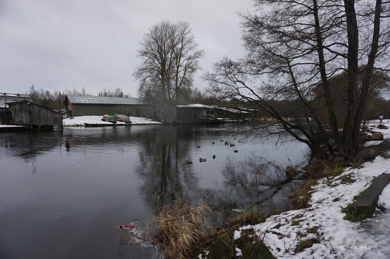 Сестрорецк