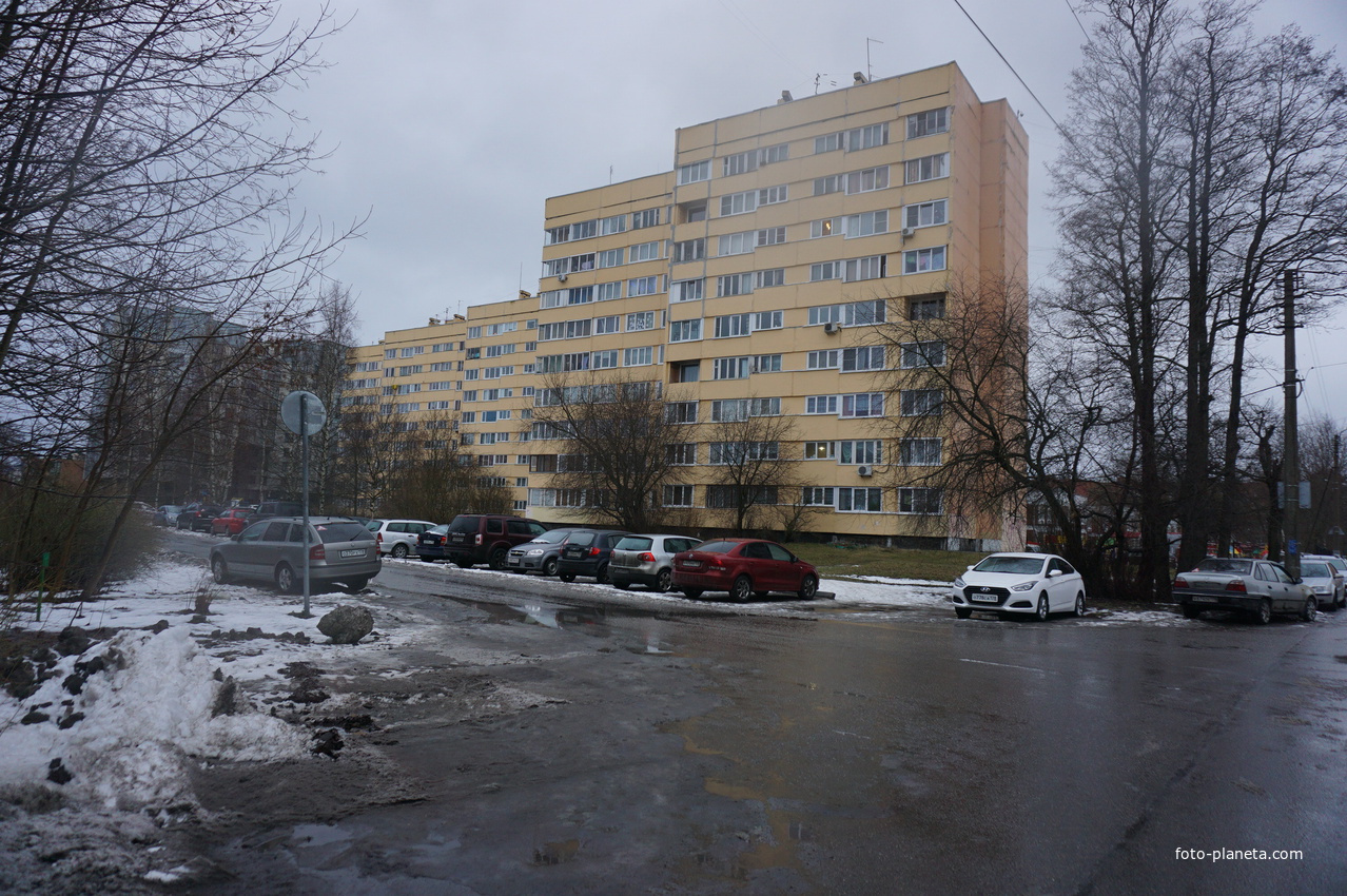 Сестрорецк