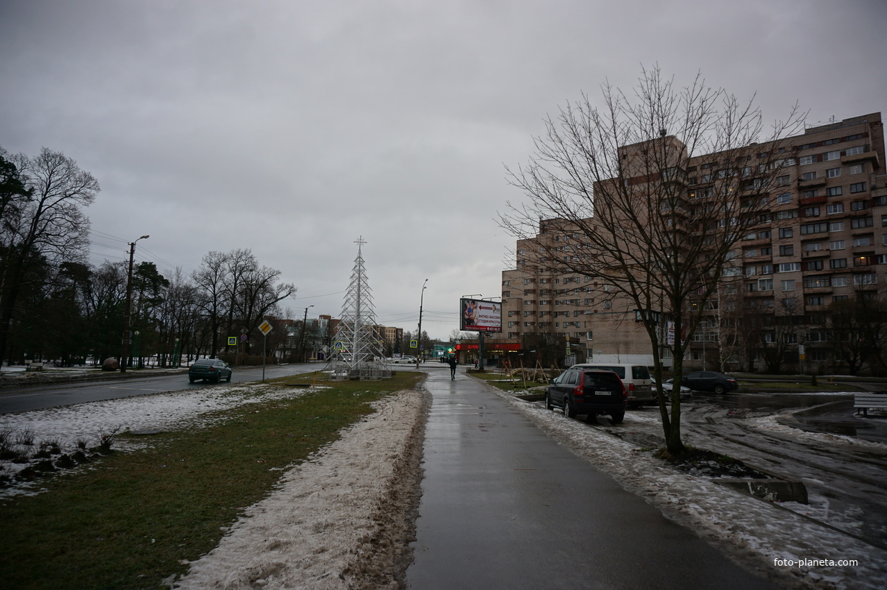 Сестрорецк