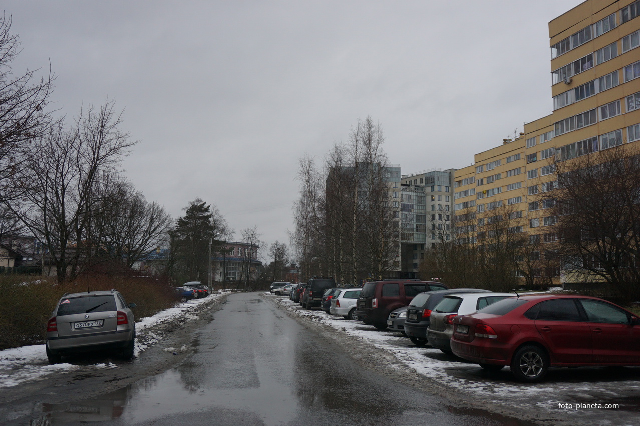 Сестрорецк