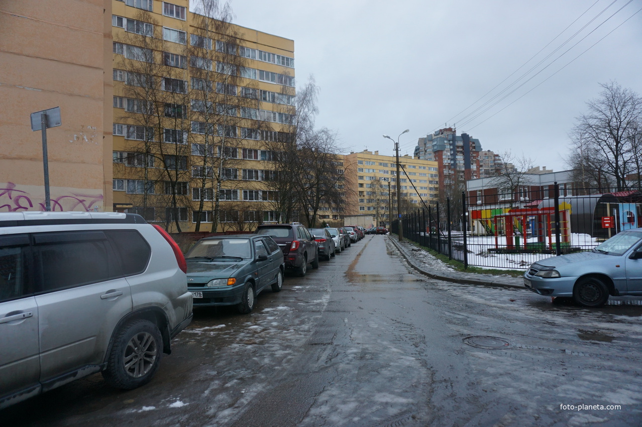 Сестрорецк