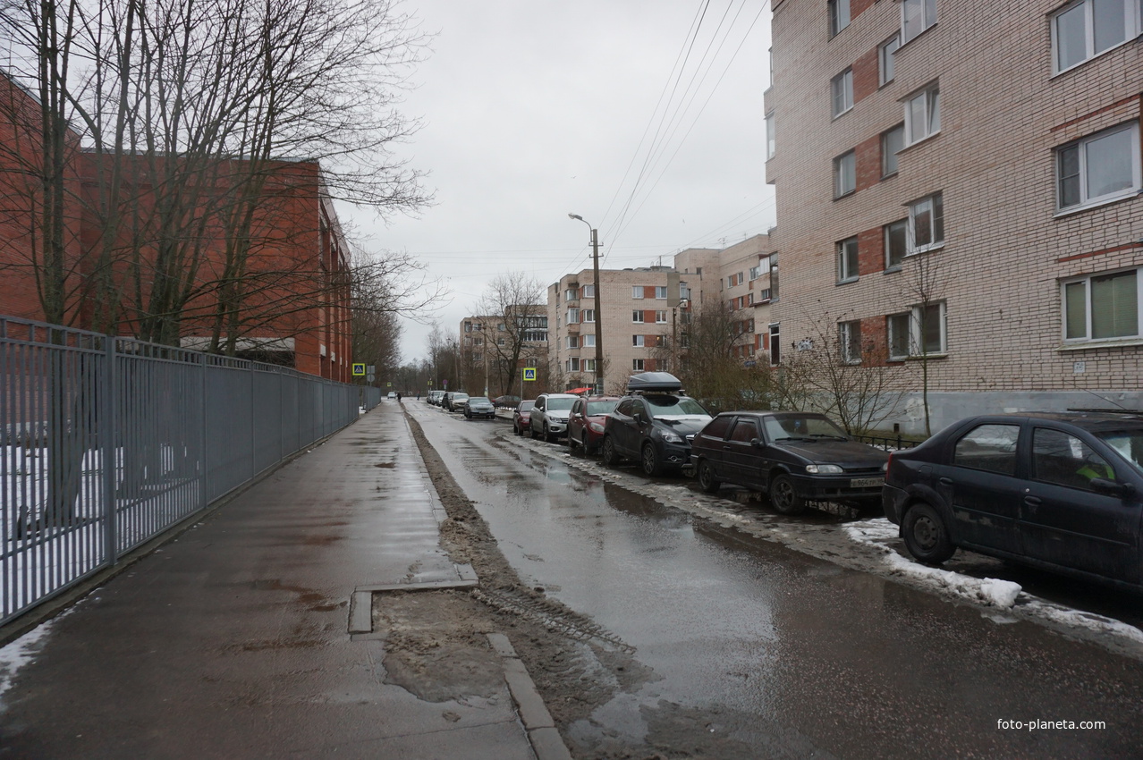 Сестрорецк