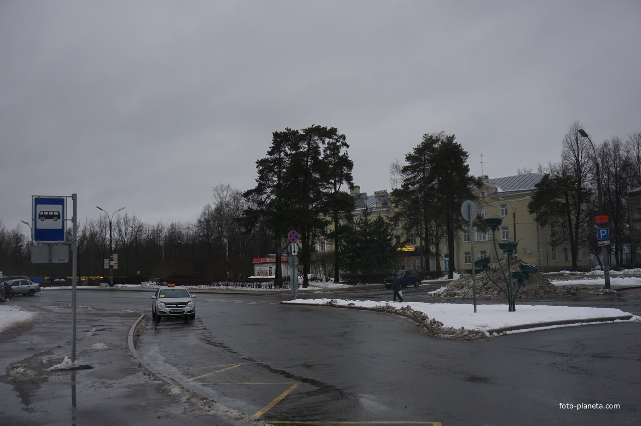 Сестрорецк