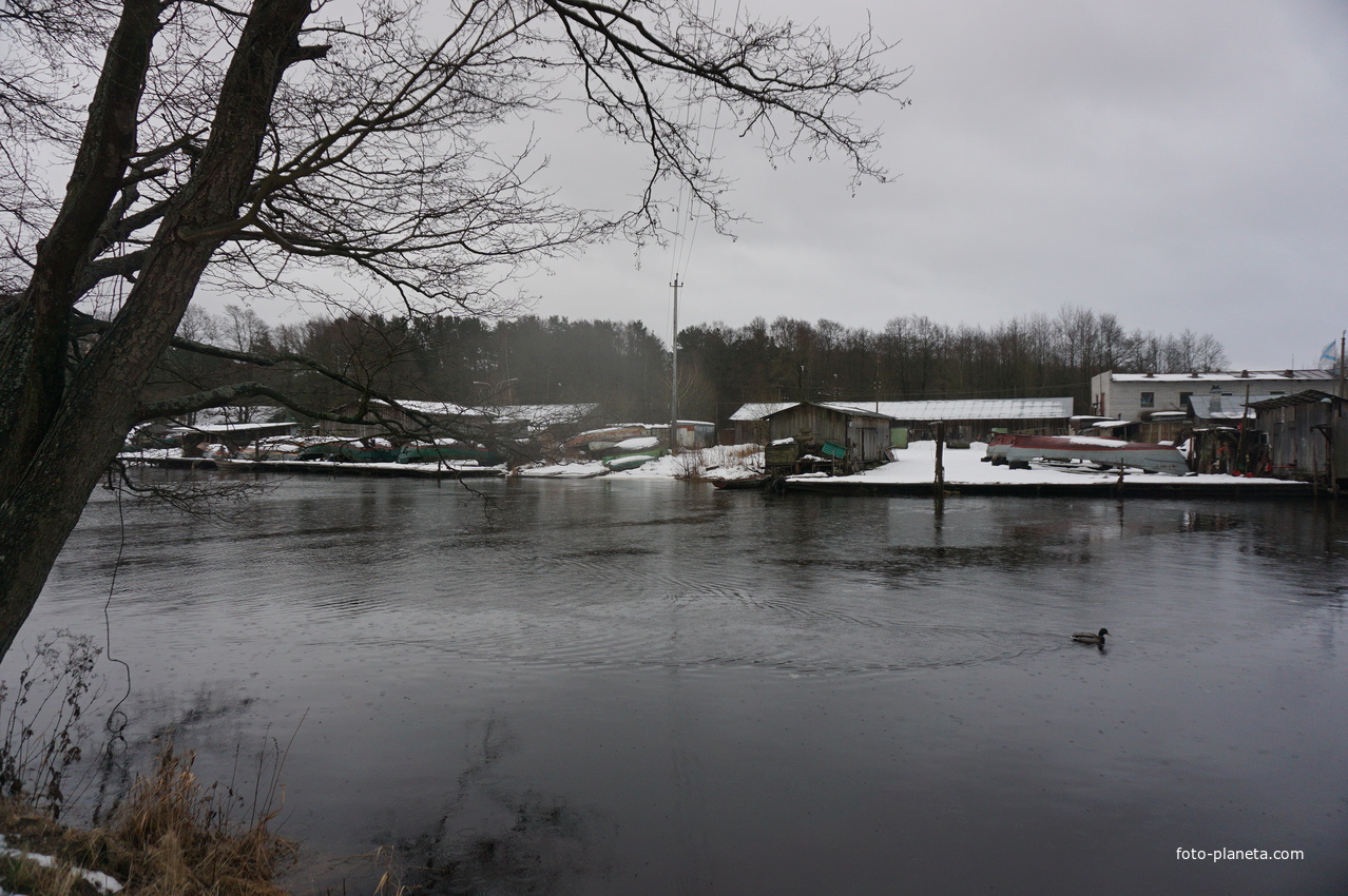 Сестрорецк