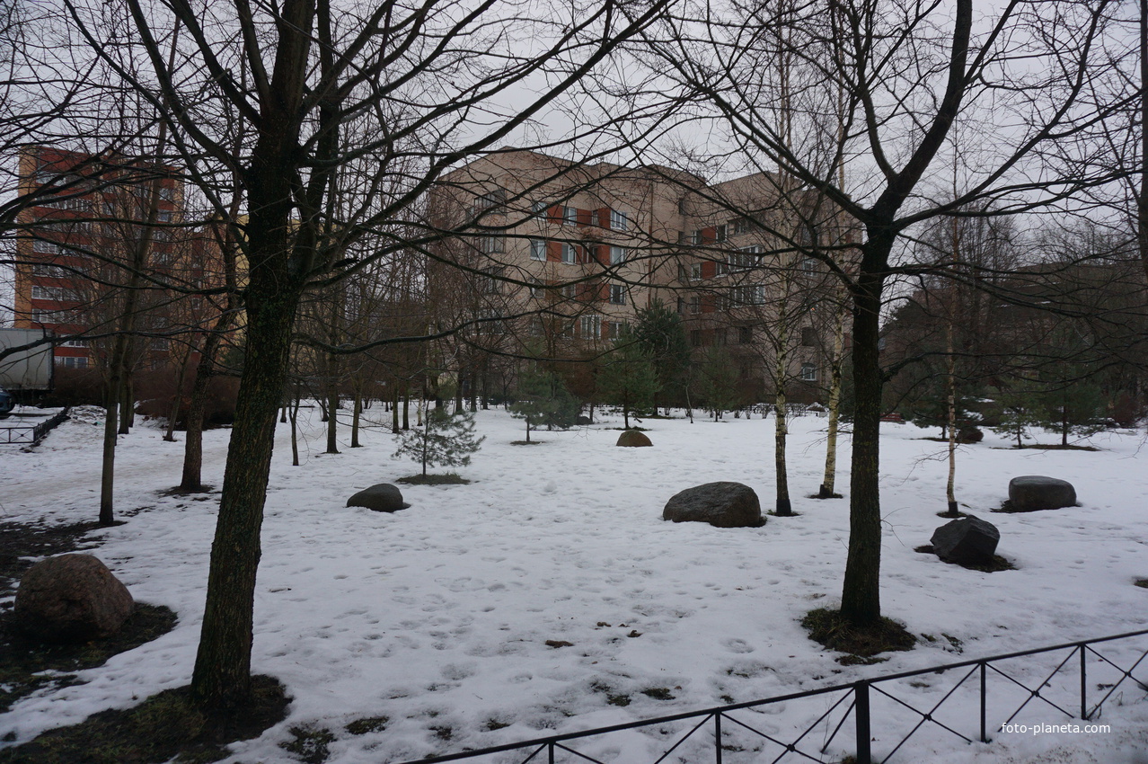 Сестрорецк