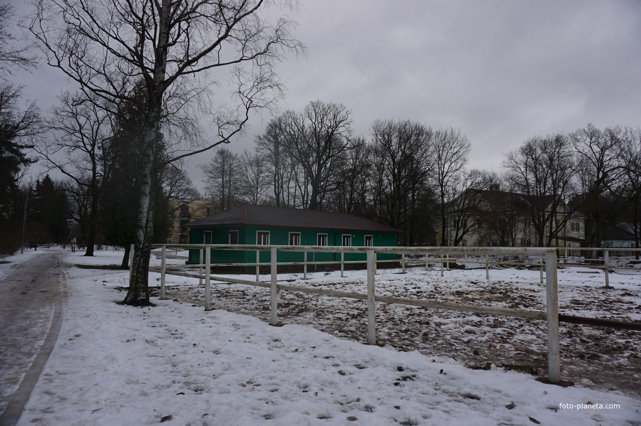 Сестрорецк