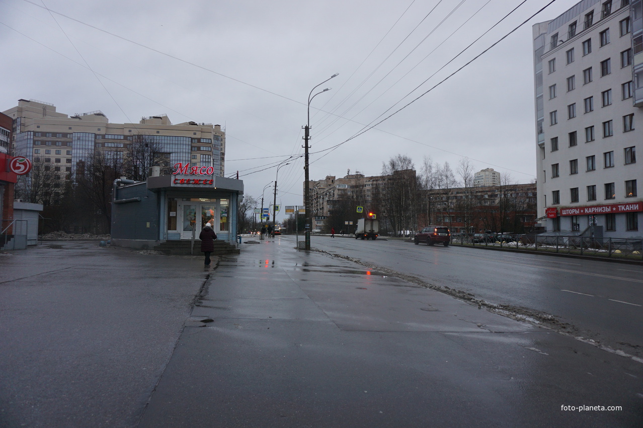 Сестрорецк