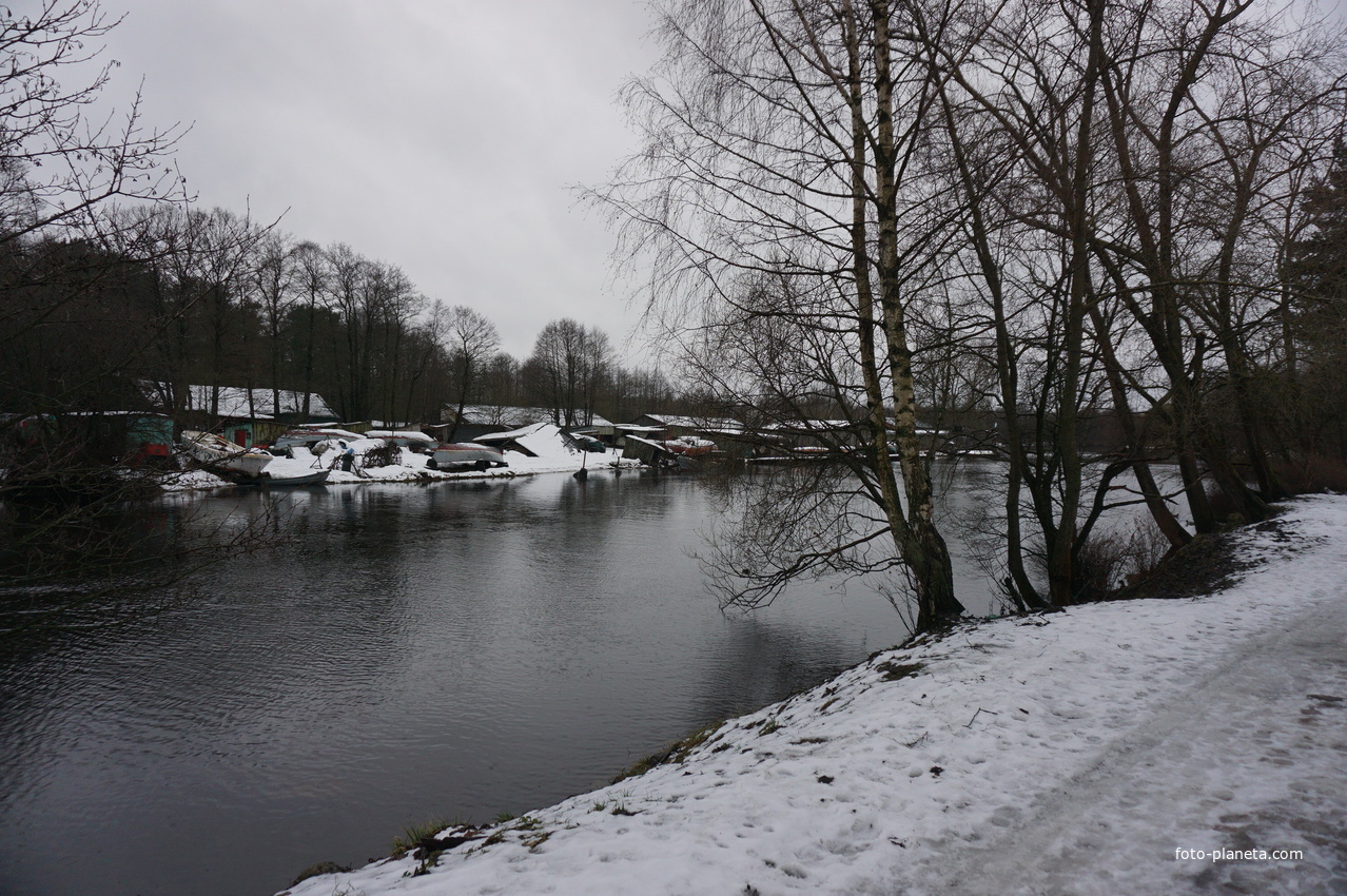 Сестрорецк