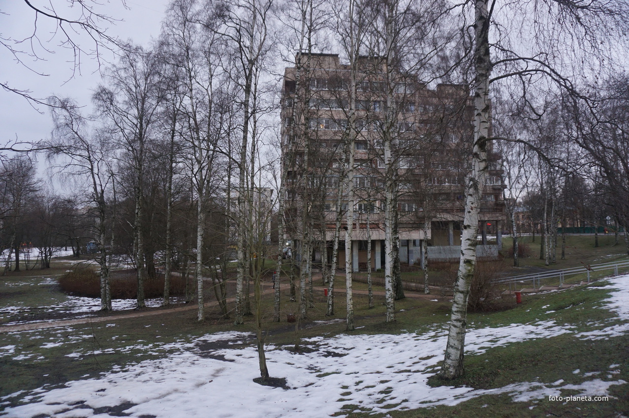 Сестрорецк