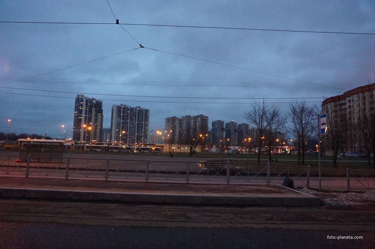 Сестрорецк