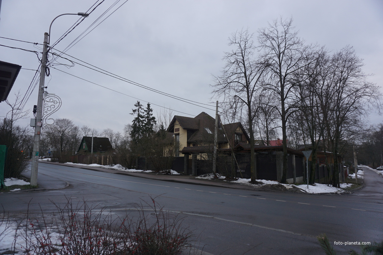 Сестрорецк