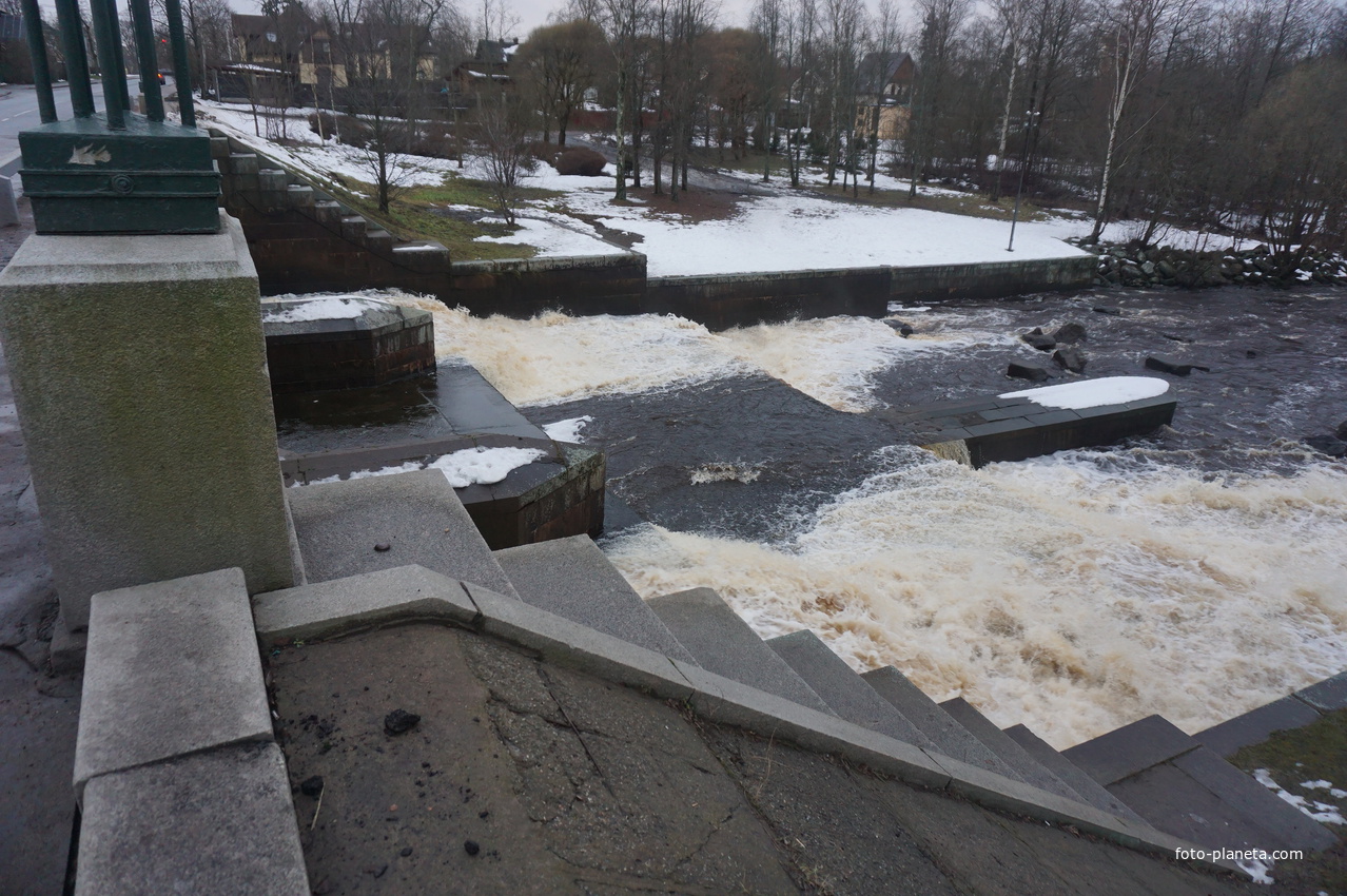 Сестрорецк