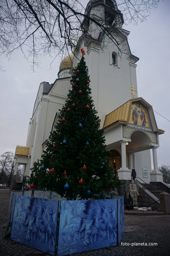 Сестрорецк