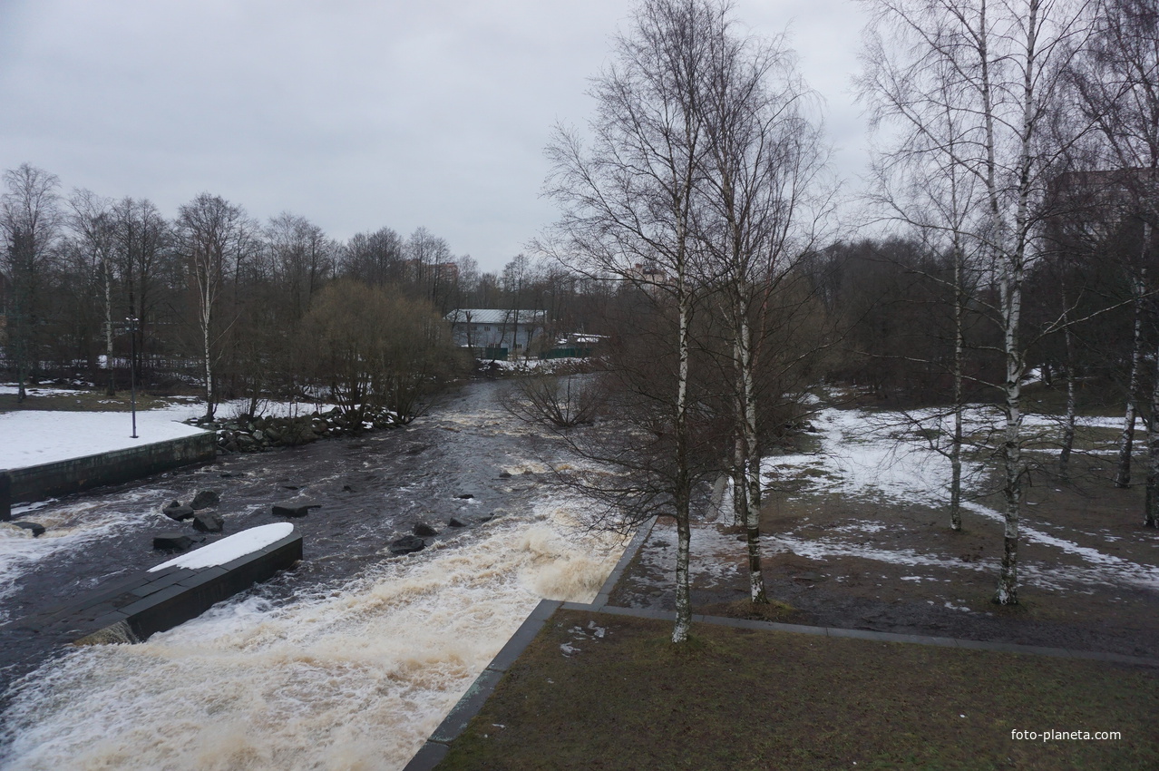 Сестрорецк