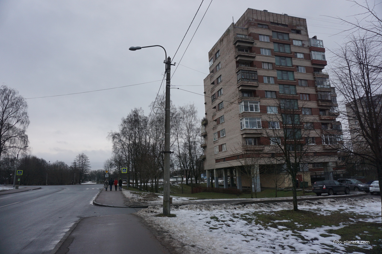 Сестрорецк