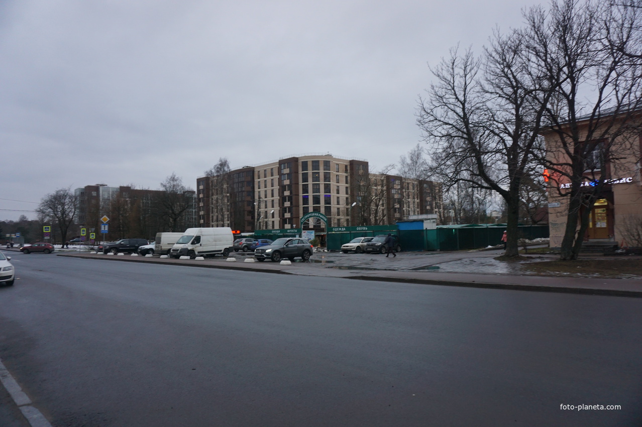 Сестрорецк