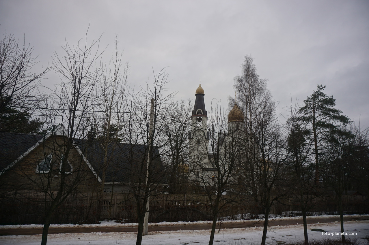 Сестрорецк