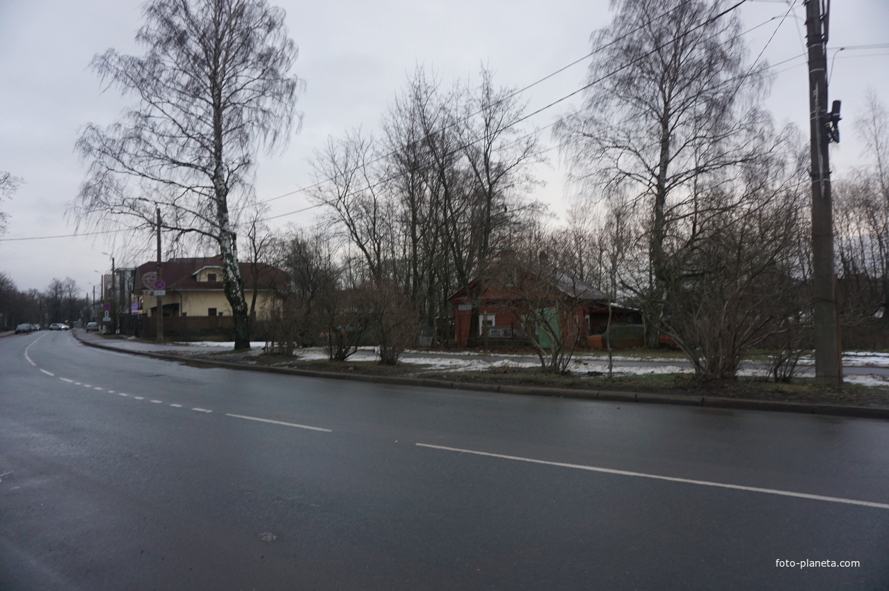 Сестрорецк