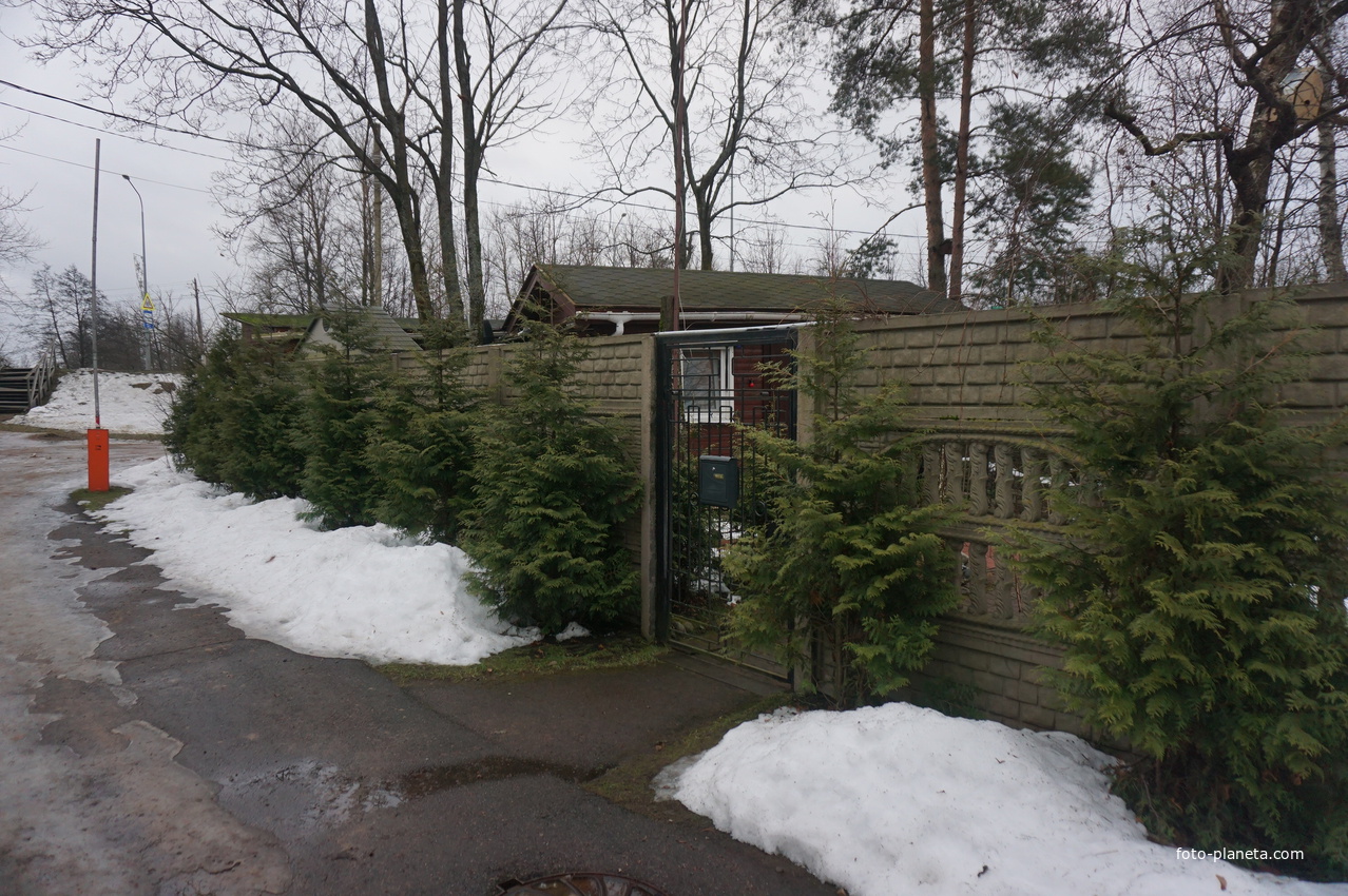 Сестрорецк