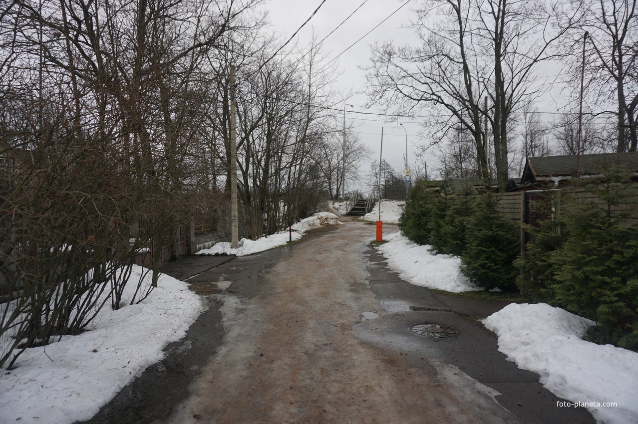 Сестрорецк