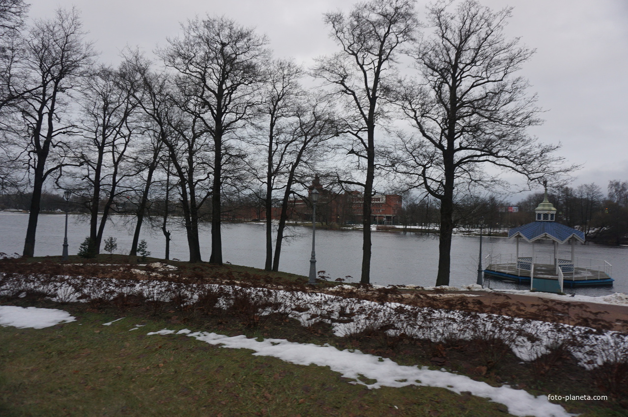 Сестрорецк