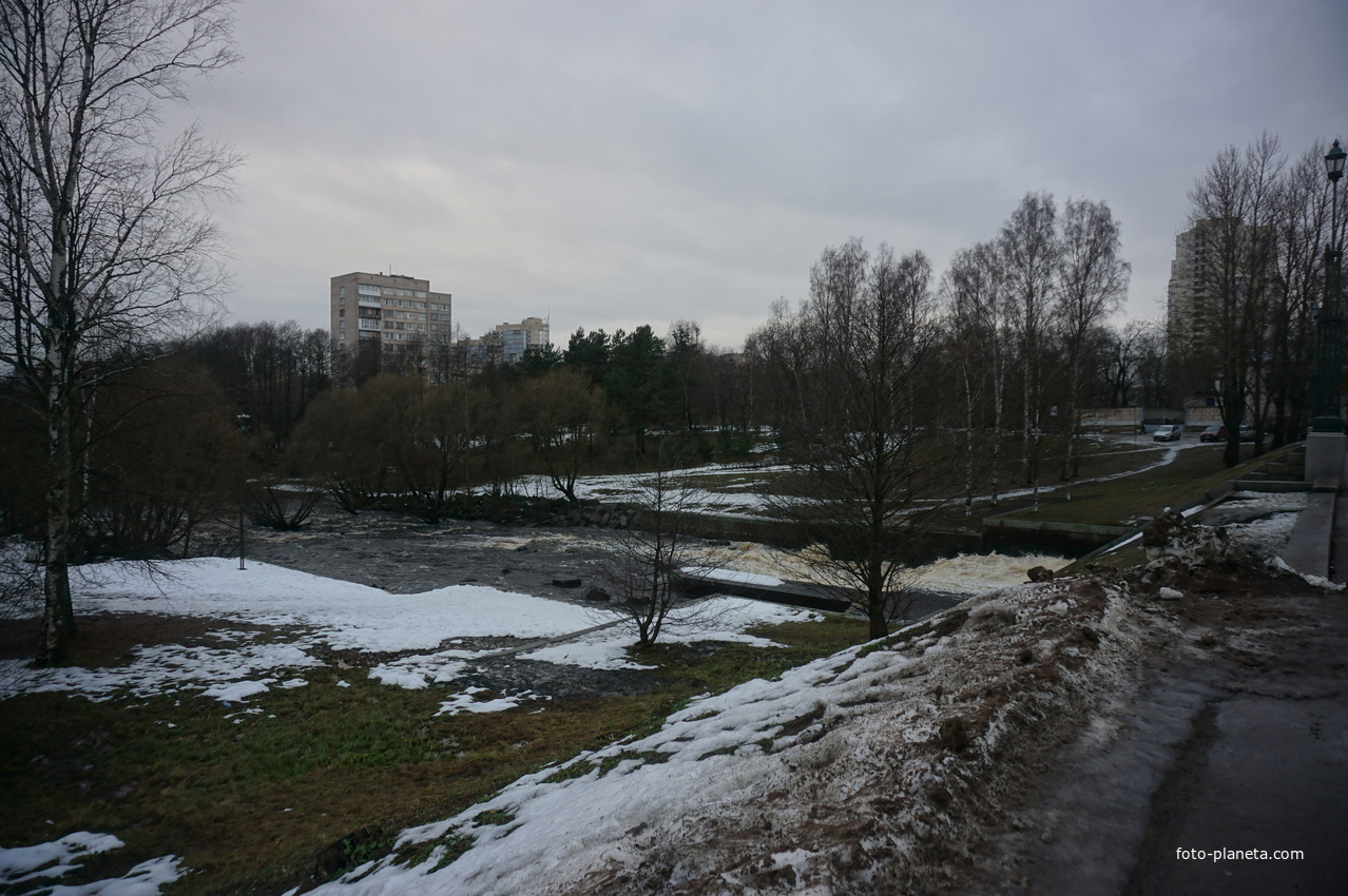 Сестрорецк