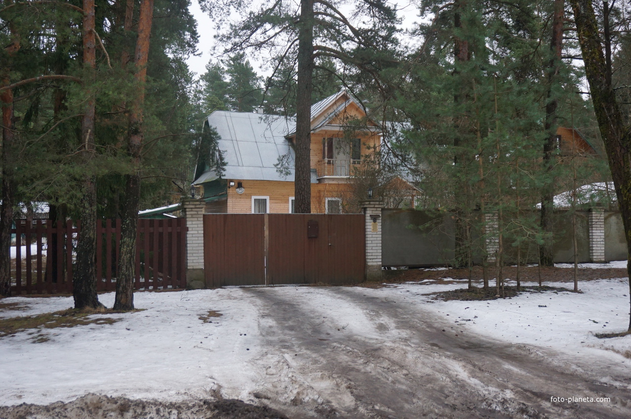 Сестрорецк п.Разлив.