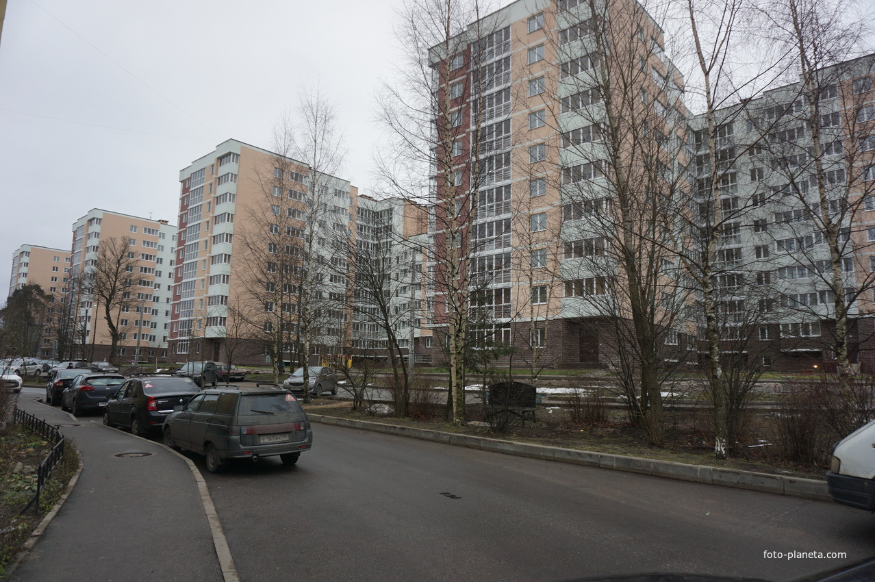 Сестрорецк п.Разлив.