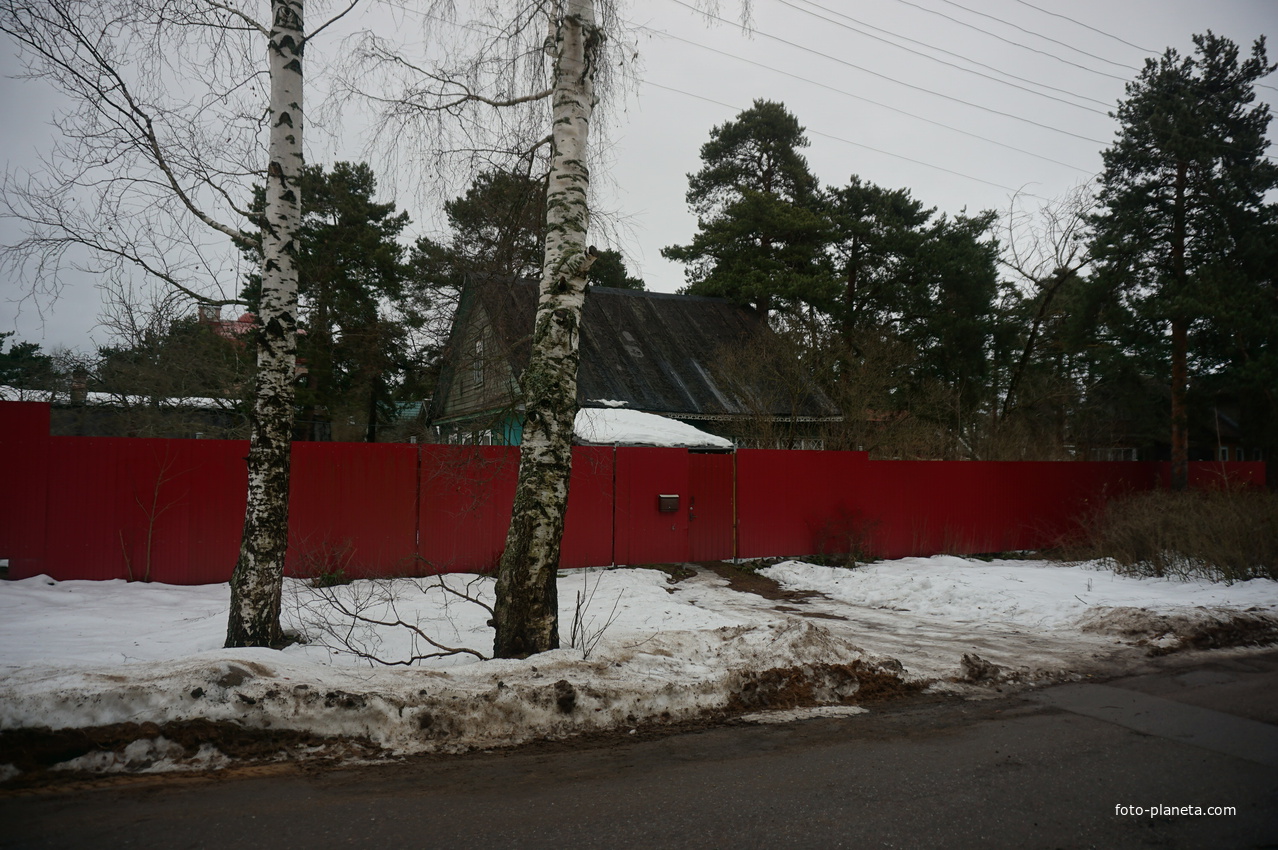 Сестрорецк п.Разлив.